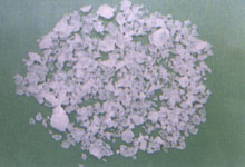 草珊瑚 九節(jié)花、九節(jié)茶、接骨蓮、竹節(jié)草
